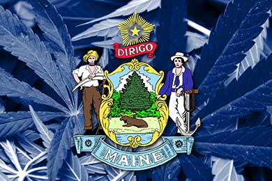 Maine Recreational Cannabis: A 2021 Update on Maine Recreational Marijuana Use