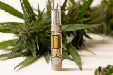 Live Resin Cartridges: Everything You Need to Know About Live Resin Carts