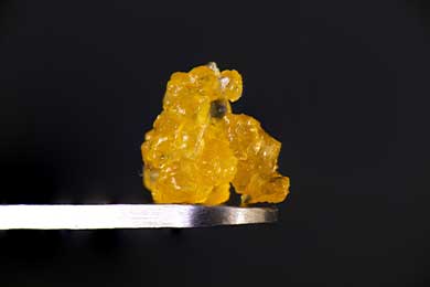 Cannabis Concentrates vs. Extracts: What’s the difference?
