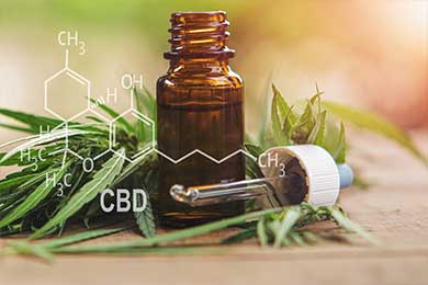 The Science Behind Medical Marijuana: How does CBD work with the endocannabinoid system?